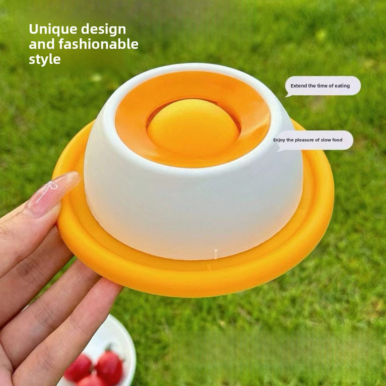 Pet Slow Feeder Licking Bowl